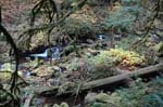 2008_10_30_Mult_Falls_12mi_0294