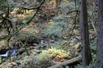 2008_10_30_Mult_Falls_12mi_0295