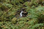 2008_10_30_Mult_Falls_12mi_0297