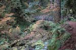 2008_10_30_Mult_Falls_12mi_0301