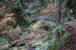 2008_10_30_Mult_Falls_12mi_0302