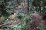 2008_10_30_Mult_Falls_12mi_0303