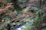 2008_10_30_Mult_Falls_12mi_0304