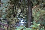 2008_10_30_Mult_Falls_12mi_0306