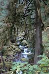 2008_10_30_Mult_Falls_12mi_0307
