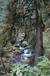 2008_10_30_Mult_Falls_12mi_0308