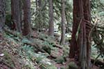2008_10_30_Mult_Falls_12mi_0313