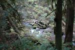 2008_10_30_Mult_Falls_12mi_0314