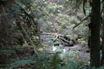 2008_10_30_Mult_Falls_12mi_0315