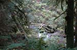 2008_10_30_Mult_Falls_12mi_0316