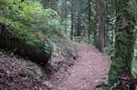 2008_10_30_Mult_Falls_12mi_0319