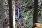 2008_10_30_Mult_Falls_12mi_0320