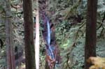 2008_10_30_Mult_Falls_12mi_0321
