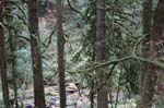 2008_10_30_Mult_Falls_12mi_0323