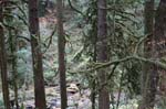 2008_10_30_Mult_Falls_12mi_0324
