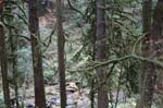2008_10_30_Mult_Falls_12mi_0325