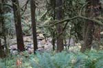 2008_10_30_Mult_Falls_12mi_0326