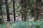 2008_10_30_Mult_Falls_12mi_0327