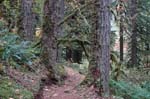 2008_10_30_Mult_Falls_12mi_0329