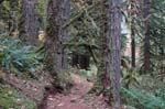 2008_10_30_Mult_Falls_12mi_0330
