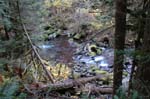2008_10_30_Mult_Falls_12mi_0331