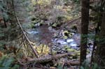 2008_10_30_Mult_Falls_12mi_0332