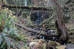 2008_10_30_Mult_Falls_12mi_0333