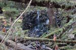 2008_10_30_Mult_Falls_12mi_0334
