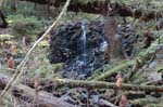 2008_10_30_Mult_Falls_12mi_0335