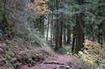 2008_10_30_Mult_Falls_12mi_0336