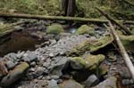 2008_10_30_Mult_Falls_12mi_0338