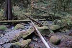 2008_10_30_Mult_Falls_12mi_0339