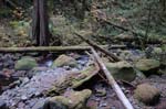 2008_10_30_Mult_Falls_12mi_0340