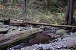 2008_10_30_Mult_Falls_12mi_0341