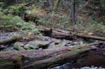2008_10_30_Mult_Falls_12mi_0342