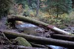 2008_10_30_Mult_Falls_12mi_0343