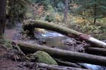 2008_10_30_Mult_Falls_12mi_0344
