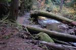 2008_10_30_Mult_Falls_12mi_0345