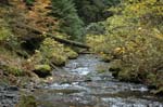 2008_10_30_Mult_Falls_12mi_0346