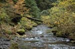 2008_10_30_Mult_Falls_12mi_0347