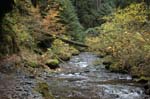 2008_10_30_Mult_Falls_12mi_0348
