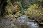2008_10_30_Mult_Falls_12mi_0349