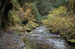 2008_10_30_Mult_Falls_12mi_0350