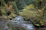 2008_10_30_Mult_Falls_12mi_0352