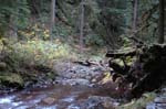 2008_10_30_Mult_Falls_12mi_0353