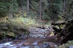 2008_10_30_Mult_Falls_12mi_0354