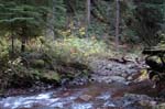 2008_10_30_Mult_Falls_12mi_0355