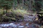 2008_10_30_Mult_Falls_12mi_0356