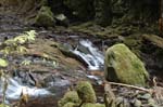 2008_10_30_Mult_Falls_12mi_0357
