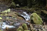 2008_10_30_Mult_Falls_12mi_0358